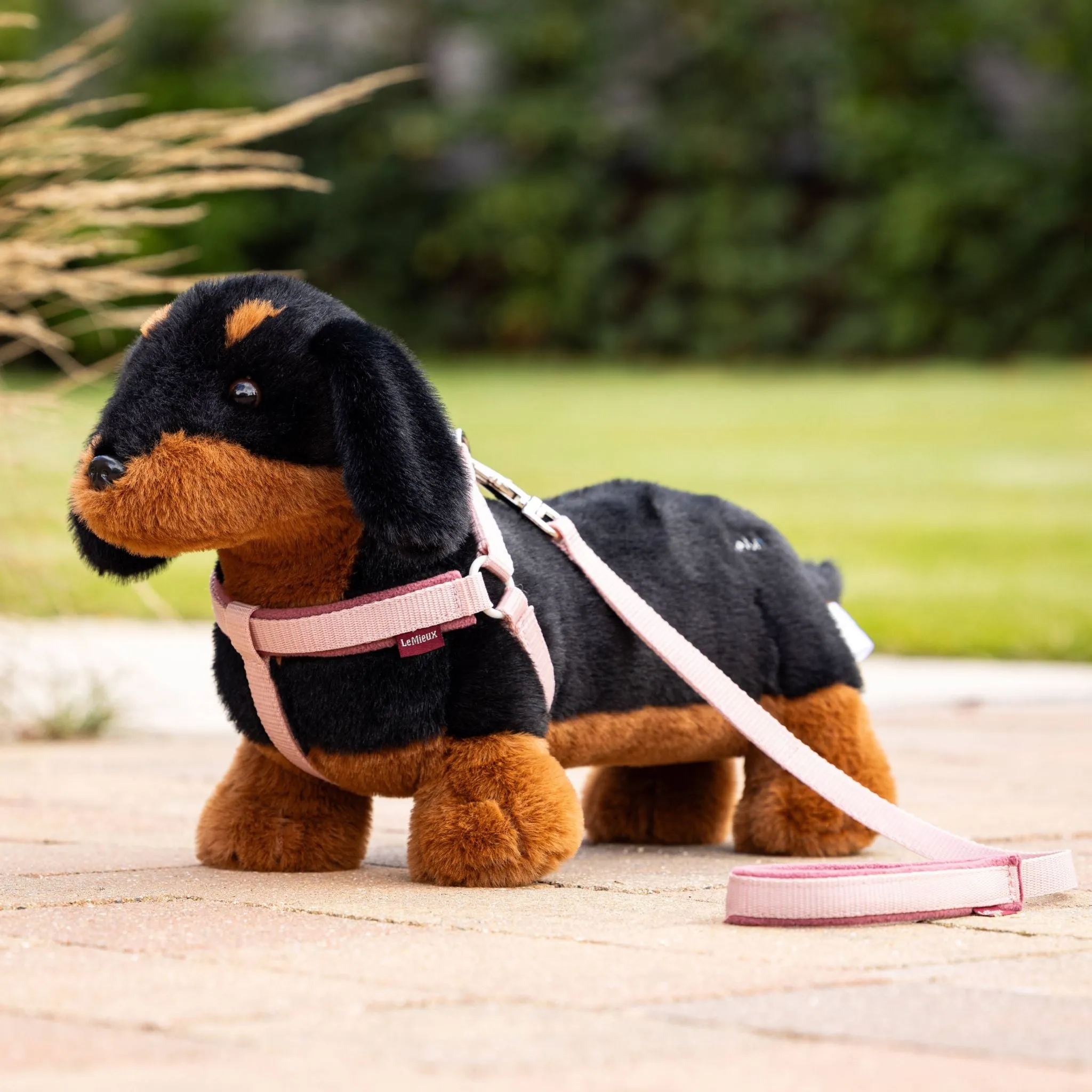 LeMieux Toy Dog Harness